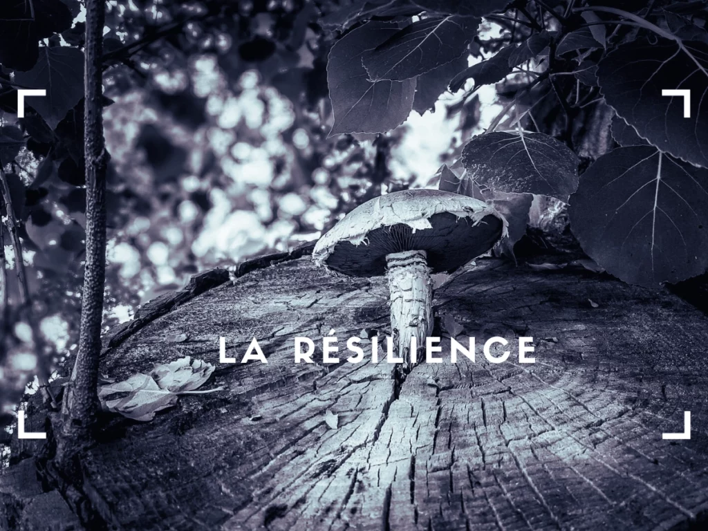 La résilience : apprendre à danser sous la pluie