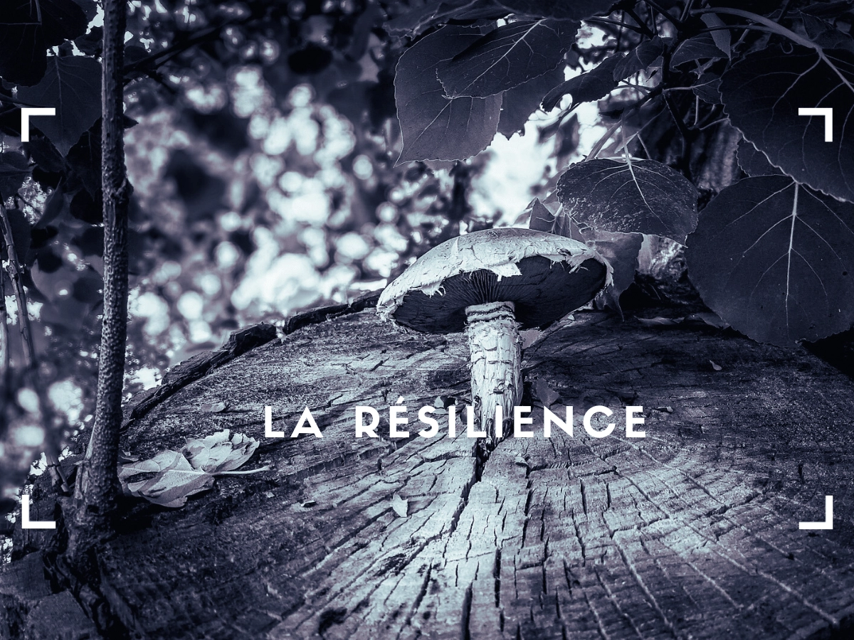 La résilience : apprendre à danser sous la pluie